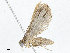  ( - CBG-A02853-B07)  @11 [ ] CreativeCommons - Attribution (2023) CBG Photography Group Centre for Biodiversity Genomics