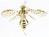  ( - CBG-A02853-D05)  @11 [ ] CreativeCommons - Attribution (2023) CBG Photography Group Centre for Biodiversity Genomics