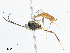  ( - CBG-A02854-A04)  @11 [ ] CreativeCommons - Attribution (2023) CBG Photography Group Centre for Biodiversity Genomics