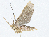 ( - CBG-A02855-A09)  @11 [ ] CreativeCommons - Attribution (2023) CBG Photography Group Centre for Biodiversity Genomics