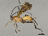  ( - BIOUG58678-E12)  @11 [ ] CreativeCommons - Attribution Share - Alike (2024) CBG Photography Group Centre for Biodiversity Genomics