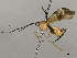  ( - BIOUG58678-F02)  @11 [ ] CreativeCommons - Attribution Share - Alike (2024) CBG Photography Group Centre for Biodiversity Genomics