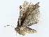  ( - BIOUG64415-A09)  @11 [ ] CreativeCommons - Attribution (2022) CBG Photography Group Centre for Biodiversity Genomics