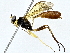  ( - BIOUG64415-A11)  @11 [ ] CreativeCommons - Attribution (2022) CBG Photography Group Centre for Biodiversity Genomics