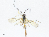 ( - CBG-A02855-D08)  @11 [ ] CreativeCommons - Attribution (2023) CBG Photography Group Centre for Biodiversity Genomics