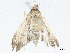  ( - CBG-A02855-F07)  @11 [ ] CreativeCommons - Attribution (2023) CBG Photography Group Centre for Biodiversity Genomics
