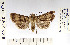  ( - CROB722)  @11 [ ] CreativeCommons - Attribution Non-Commercial Share-Alike (2022) Stoyan Beshkov Research Collection of Stoyan Beshkov