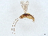  ( - BIOUG65274-C03)  @11 [ ] CreativeCommons - Attribution (2022) CBG Photography Group Centre for Biodiversity Genomics