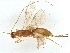  ( - BIOUG65775-G12)  @11 [ ] CreativeCommons - Attribution (2022) CBG Photography Group Centre for Biodiversity Genomics