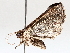  ( - BIOUG64455-B04)  @11 [ ] CreativeCommons - Attribution (2021) CBG Photography Group Centre for Biodiversity Genomics