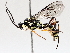  ( - BIOUG64455-D05)  @11 [ ] CreativeCommons - Attribution (2021) CBG Photography Group Centre for Biodiversity Genomics
