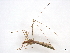  ( - BIOUG71238-H10)  @11 [ ] CreativeCommons - Attribution (2021) CBG Photography Group Centre for Biodiversity Genomics
