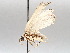  ( - BIOUG71249-F07)  @11 [ ] CreativeCommons - Attribution (2021) CBG Photography Group Centre for Biodiversity Genomics
