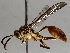  ( - BIOUG71250-G01)  @11 [ ] CreativeCommons - Attribution (2021) CBG Photography Group Centre for Biodiversity Genomics