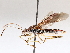  (Burtinus - BIOUG72918-B02)  @11 [ ] CreativeCommons - Attribution (2021) CBG Photography Group Centre for Biodiversity Genomics