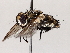  ( - BIOUG72918-H10)  @11 [ ] CreativeCommons - Attribution (2021) CBG Photography Group Centre for Biodiversity Genomics