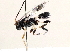  ( - BIOUG72920-G01)  @11 [ ] CreativeCommons - Attribution Non-Commercial Share-Alike (2021) CBG Photography Group Centre for Biodiversity Genomics