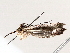  ( - BIOUG72920-G03)  @11 [ ] CreativeCommons - Attribution Non-Commercial Share-Alike (2021) CBG Photography Group Centre for Biodiversity Genomics
