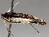  ( - BIOUG72921-C06)  @11 [ ] CreativeCommons - Attribution (2021) CBG Photography Group Centre for Biodiversity Genomics
