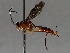  ( - BIOUG72921-F10)  @11 [ ] CreativeCommons - Attribution (2021) CBG Photography Group Centre for Biodiversity Genomics