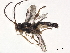  ( - BIOUG72922-C07)  @11 [ ] CreativeCommons - Attribution (2021) CBG Photography Group Centre for Biodiversity Genomics