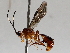  ( - BIOUG72922-D02)  @11 [ ] CreativeCommons - Attribution (2021) CBG Photography Group Centre for Biodiversity Genomics
