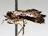  ( - BIOUG72923-B03)  @11 [ ] CreativeCommons - Attribution (2021) CBG Photography Group Centre for Biodiversity Genomics
