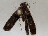  ( - BIOUG72923-B12)  @11 [ ] CreativeCommons - Attribution (2021) CBG Photography Group Centre for Biodiversity Genomics