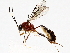  ( - BIOUG64456-A05)  @11 [ ] CreativeCommons - Attribution (2021) CBG Photography Group Centre for Biodiversity Genomics