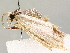  ( - BIOUG64456-B12)  @11 [ ] CreativeCommons - Attribution (2021) CBG Photography Group Centre for Biodiversity Genomics