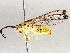  ( - BIOUG64456-E09)  @11 [ ] CreativeCommons - Attribution (2021) CBG Photography Group Centre for Biodiversity Genomics