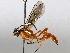  ( - BIOUG64456-H11)  @11 [ ] CreativeCommons - Attribution (2021) CBG Photography Group Centre for Biodiversity Genomics