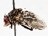  ( - BIOUG72908-A07)  @11 [ ] CreativeCommons - Attribution (2021) CBG Photography Group Centre for Biodiversity Genomics
