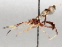  ( - BIOUG72923-H04)  @11 [ ] CreativeCommons - Attribution (2021) CBG Photography Group Centre for Biodiversity Genomics