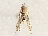  ( - BIOUG72924-E11)  @11 [ ] CreativeCommons - Attribution (2021) CBG Photography Group Centre for Biodiversity Genomics