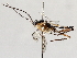  ( - BIOUG72925-D09)  @11 [ ] CreativeCommons - Attribution (2021) CBG Photography Group Centre for Biodiversity Genomics