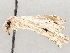  ( - BIOUG72925-H04)  @13 [ ] CreativeCommons - Attribution (2021) CBG Photography Group Centre for Biodiversity Genomics