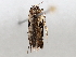  ( - BIOUG72925-H08)  @11 [ ] CreativeCommons - Attribution (2021) CBG Photography Group Centre for Biodiversity Genomics