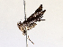 ( - BIOUG72926-C12)  @11 [ ] CreativeCommons - Attribution (2021) CBG Photography Group Centre for Biodiversity Genomics