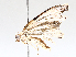  ( - BIOUG62723-C04)  @11 [ ] CreativeCommons - Attribution (2021) CBG Photography Group Centre for Biodiversity Genomics