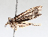  ( - BIOUG62723-E04)  @11 [ ] CreativeCommons - Attribution (2021) CBG Photography Group Centre for Biodiversity Genomics