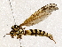  ( - BIOUG62724-A12)  @11 [ ] CreativeCommons - Attribution (2021) Centre for Biodiversity Genomics Centre for Biodiversity Genomics