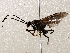  ( - BIOUG62724-C02)  @11 [ ] CreativeCommons - Attribution (2021) Centre for Biodiversity Genomics Centre for Biodiversity Genomics