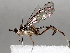  ( - BIOUG64457-E02)  @11 [ ] CreativeCommons - Attribution (2021) CBG Photography Group Centre for Biodiversity Genomics