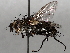  ( - BIOUG64457-F07)  @11 [ ] CreativeCommons - Attribution (2021) CBG Photography Group Centre for Biodiversity Genomics