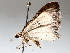  ( - BIOUG64458-B12)  @11 [ ] CreativeCommons - Attribution (2021) CBG Photography Group Centre for Biodiversity Genomics