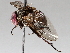  ( - BIOUG64458-F09)  @11 [ ] CreativeCommons - Attribution (2021) CBG Photography Group Centre for Biodiversity Genomics