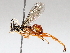  ( - BIOUG64459-C05)  @11 [ ] CreativeCommons - Attribution (2021) CBG Photography Group Centre for Biodiversity Genomics