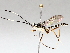  ( - BIOUG64459-C06)  @11 [ ] CreativeCommons - Attribution (2021) CBG Photography Group Centre for Biodiversity Genomics