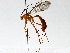  ( - BIOUG64459-H08)  @11 [ ] CreativeCommons - Attribution (2021) CBG Photography Group Centre for Biodiversity Genomics